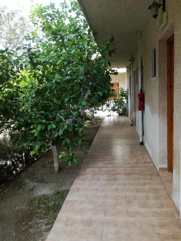 Pericles Studios Agia Marina (Aegina) Exterior foto