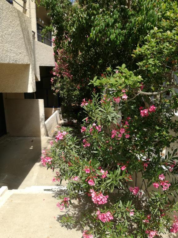 Pericles Studios Agia Marina (Aegina) Exterior foto