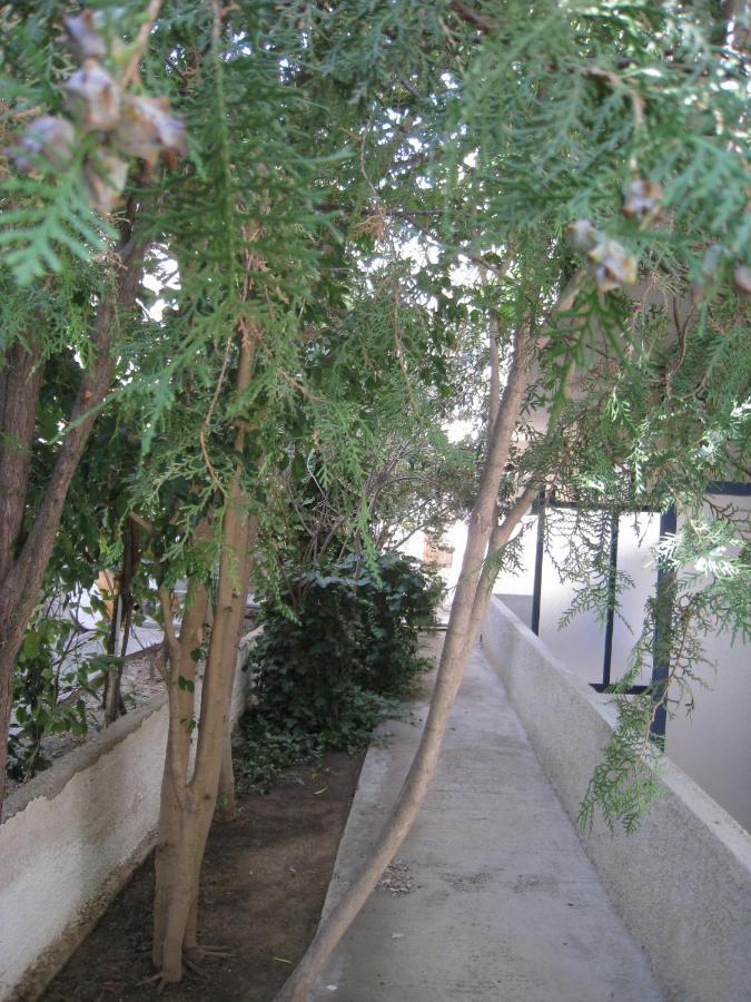 Pericles Studios Agia Marina (Aegina) Quarto foto